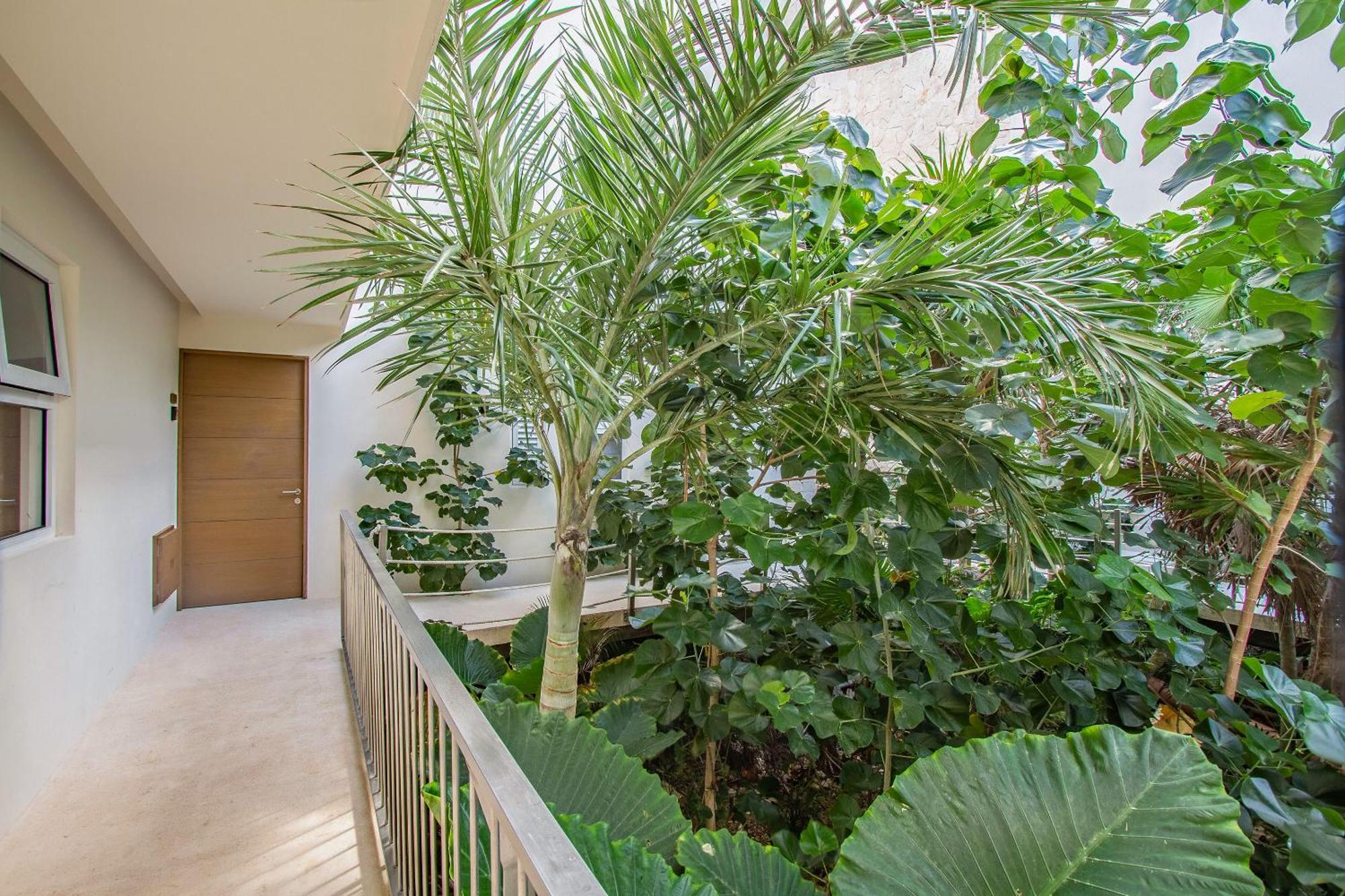Santamar By Tao Beach Condos With Pool & Walk To Ocean 아쿠말 외부 사진
